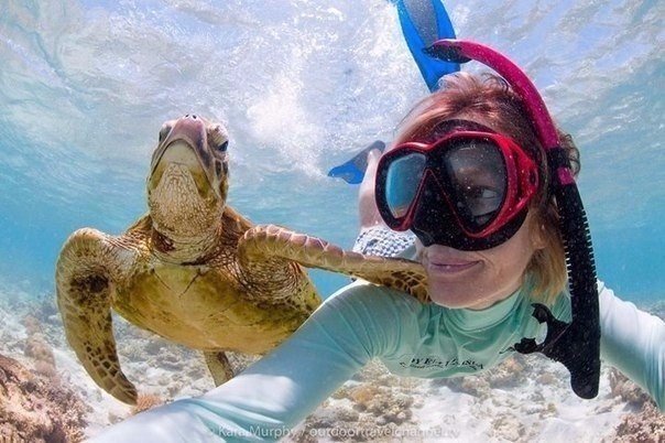 Самые смешные животные