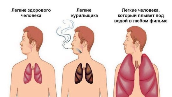 Подборка интересных и веселых картинок