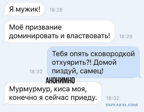Почему мужики боятся жену? Она же не может вас избить