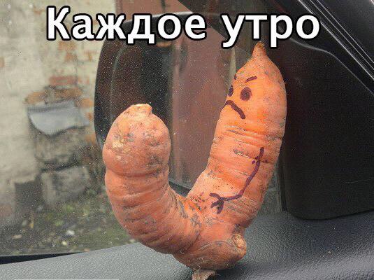Подборка интересных и веселых картинок