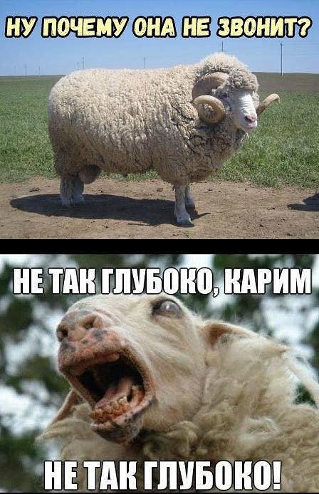 Мизатропируй правильно!