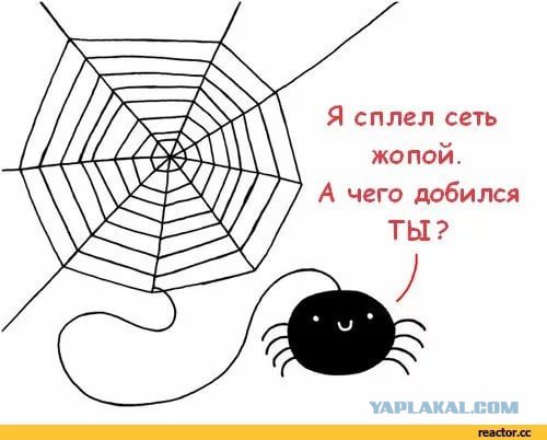 Юмор для многоклеточных. Дурацкие картинки (но это не точно).