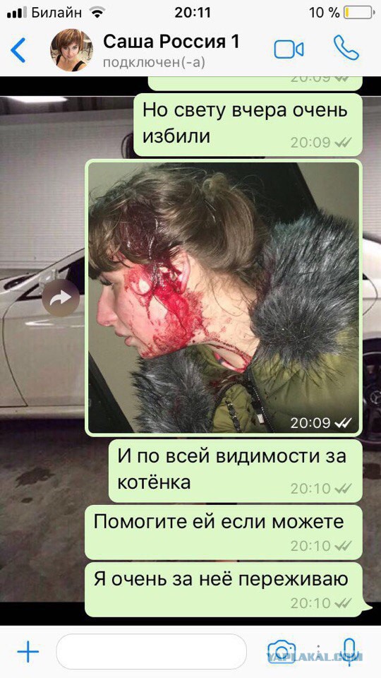 Живодёрку Свету, которая покусала котёнка, избили в Москве