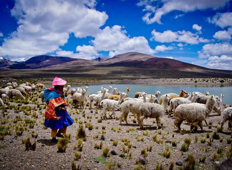 Хочешь увидеть колорит страны - иди на рынок. Рынок в Перу