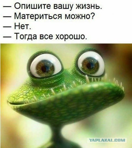Картинки на воскресенье для поднятия настроения