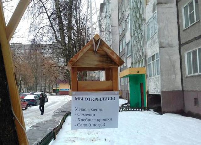 Подборка интересных и веселых картинок