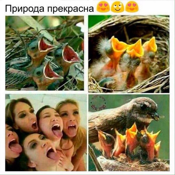 Нестандартный юмор