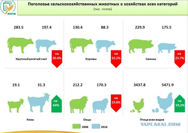 Наш ответ Трампу через Беларусь