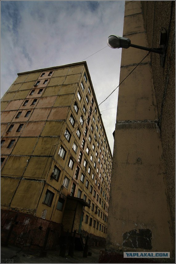 Подснежники гробы. г. Норильск