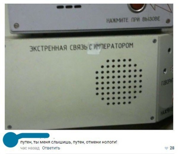 Смешные объявления, надписи и вывески