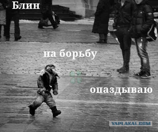Немного картинок для настроения