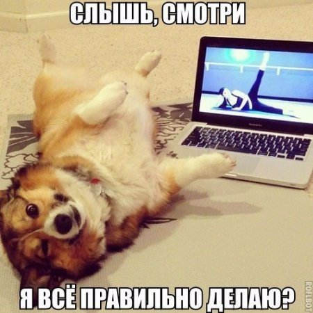 Немного картинок для настроения 19.10.19