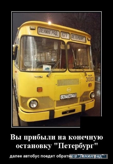 Чуток картинок 03.12.19
