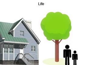 Фотожаба: Дерево и наркотики