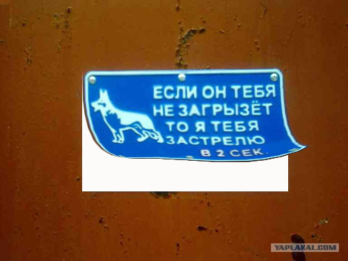 Школа Фотожабы