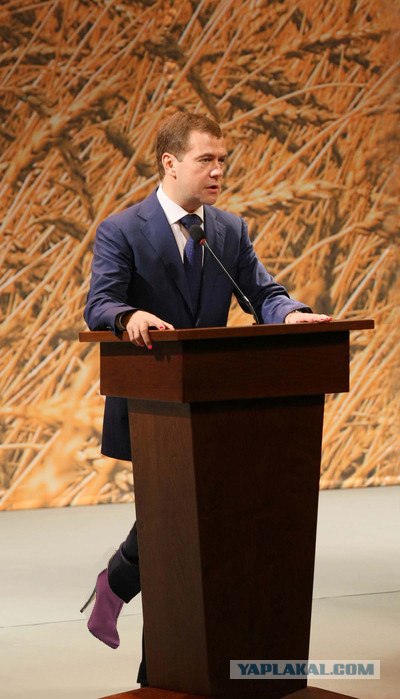 На трибуне