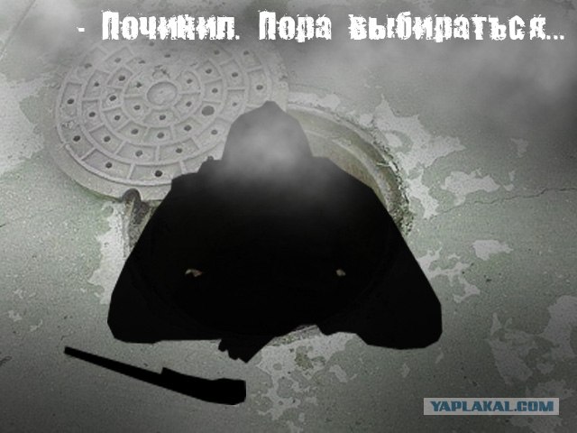 Битва фотожаберов: Лето кончилось