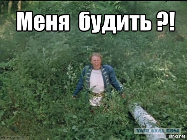 А ты случаем не моргенмуффель, коллега?