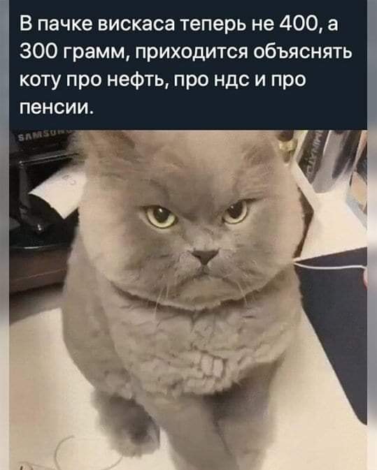 Бредзона 03.11.2020