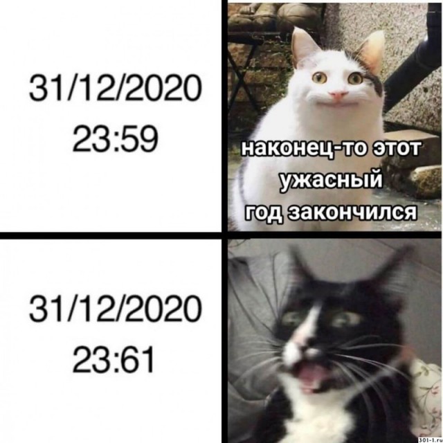 Россия – кошачья сверхдержава