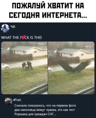 Боянистые картинки 07.12.20