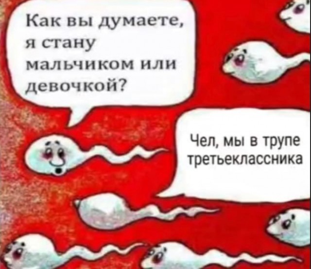 Немного картинок разной степени новизны и адекватности - 5