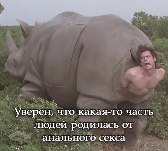 Просветление: ожидание и реальность