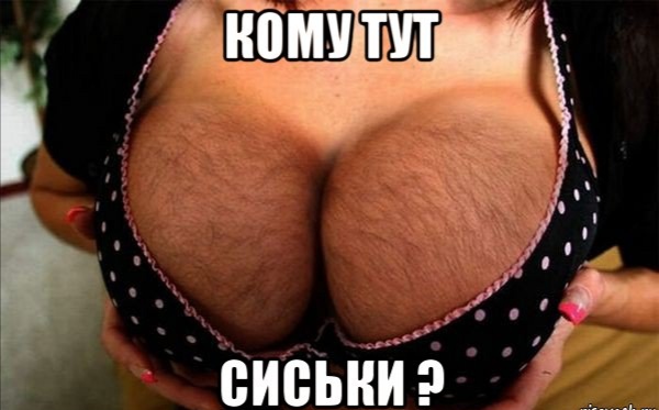 Конкурс сисек на ЯП