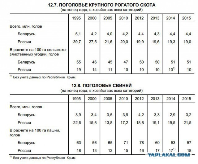 Как выглядит банка сгущенки рогачев. Смотреть фото Как выглядит банка сгущенки рогачев. Смотреть картинку Как выглядит банка сгущенки рогачев. Картинка про Как выглядит банка сгущенки рогачев. Фото Как выглядит банка сгущенки рогачев