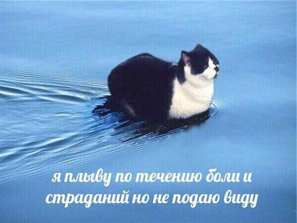 Чё смотришь? Листай дальше!