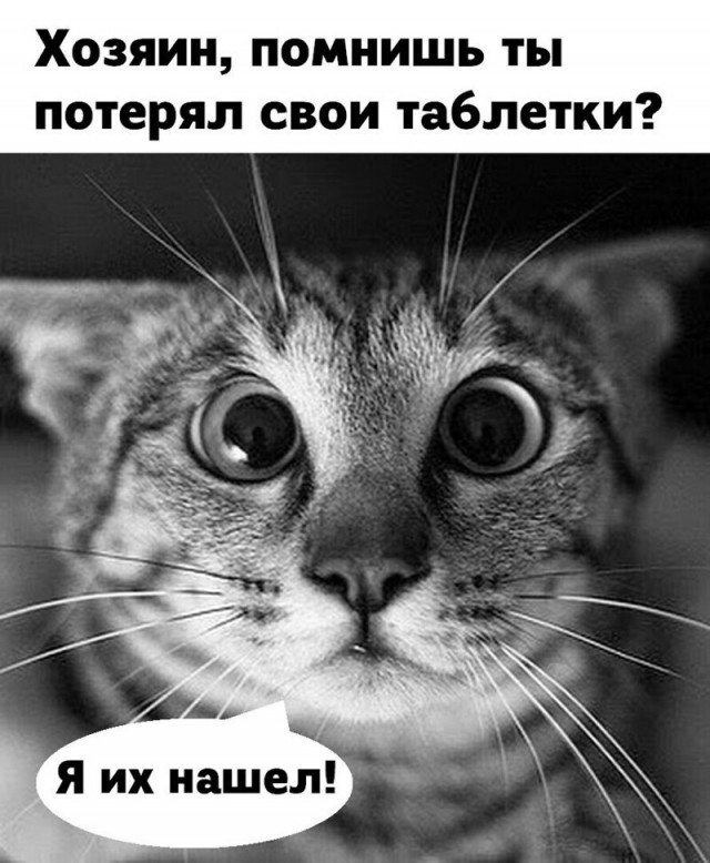 Картинки и мемы для настроения - 23