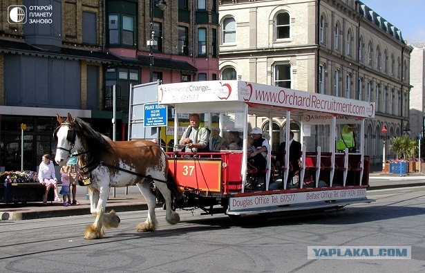 На Украине запустили трамвайное движение