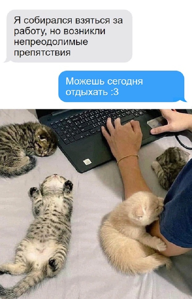 Немного картинок для настроения - 137