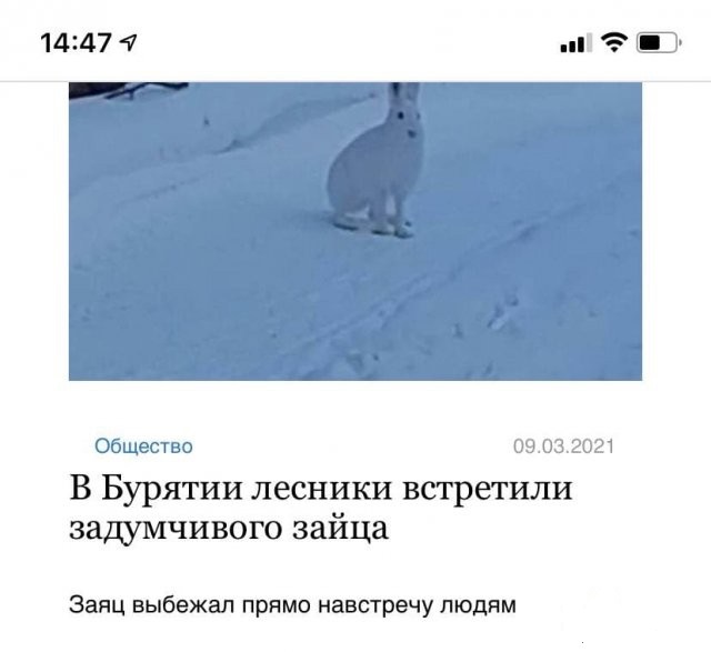 Забавные шутки и картинки из этих ваших интернетов