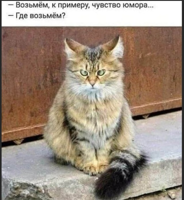 Так себе картинки 28.07.23