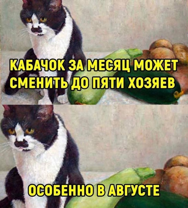 Санкционный урожай.