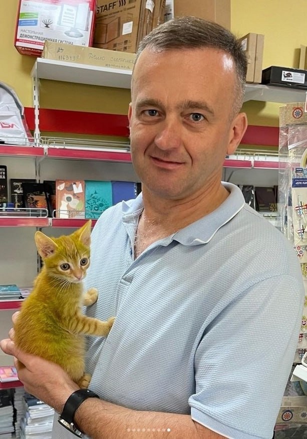 Котёнка с зелёной шерстью нашли в Беларуси
