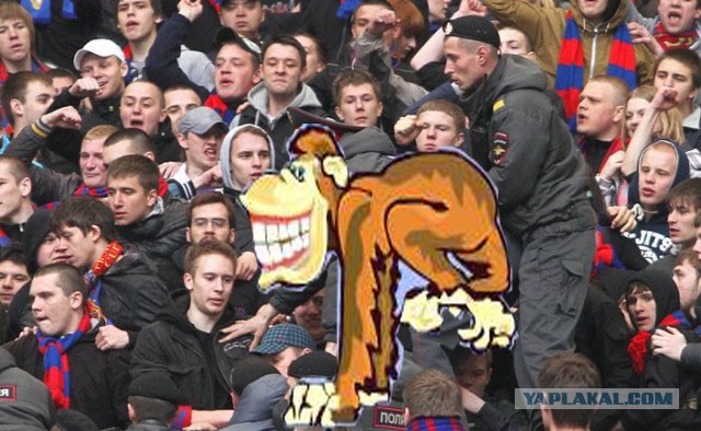 Совсем стыд потеряли!