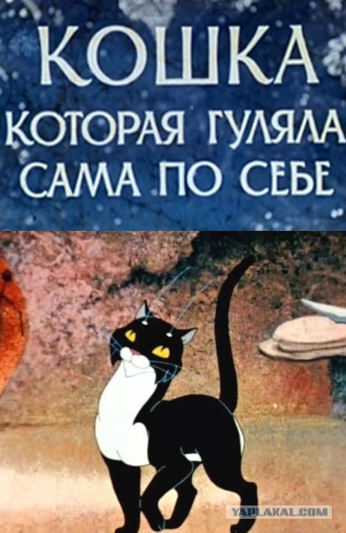 Как коты приручили сами себя, стали египетскими богами и римскими легионерами