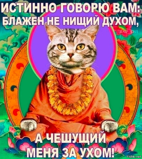 Мемчики и картинки для настроения и подумать