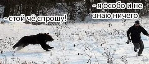 Весна пришла, Дратути