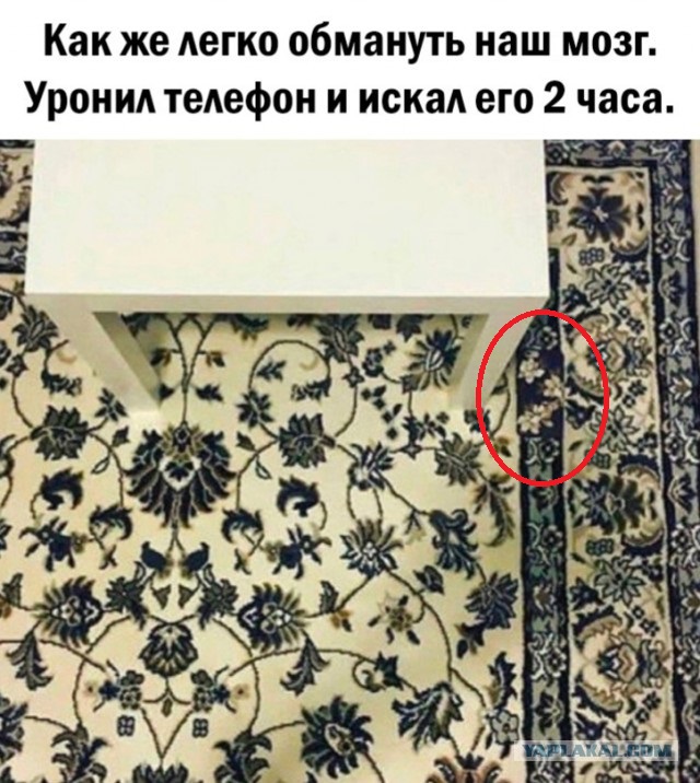 Так себе картинки 28.05.24