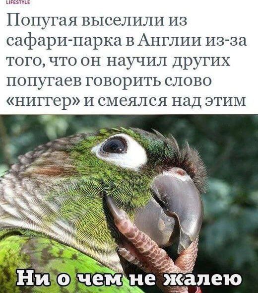 Ударим баянами по второй половине лета