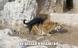 Ну что гусары, кто желает познакомиться?
