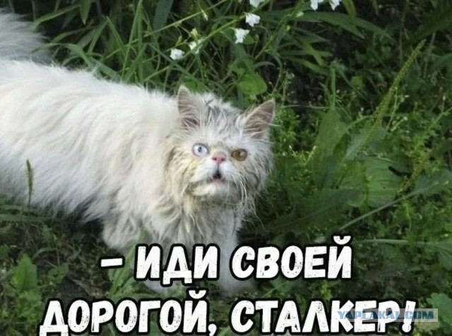 Чудесное спасение
