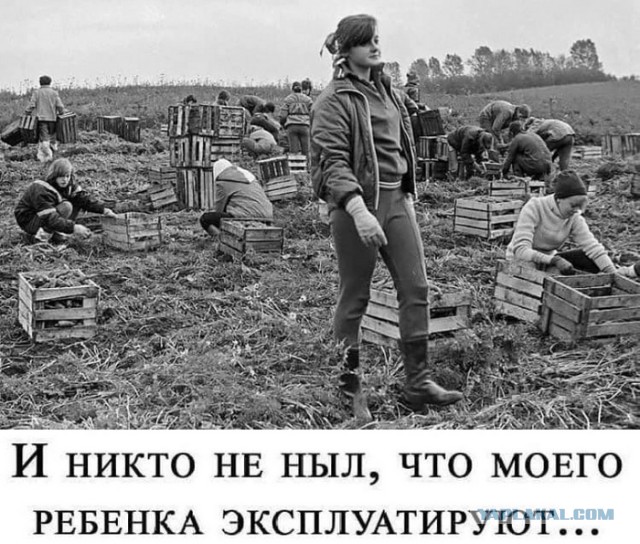 Почувствуйте разницу, как говорится. Кто успел попасть на такое трудовое мероприятие?