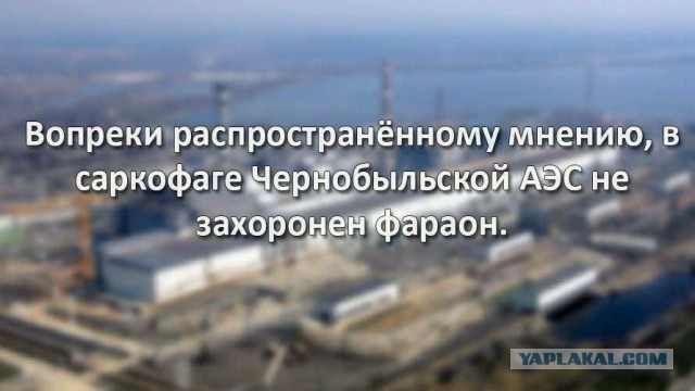Нуштош 22.07.2025. Противоестественное происхождение (s4e4)
