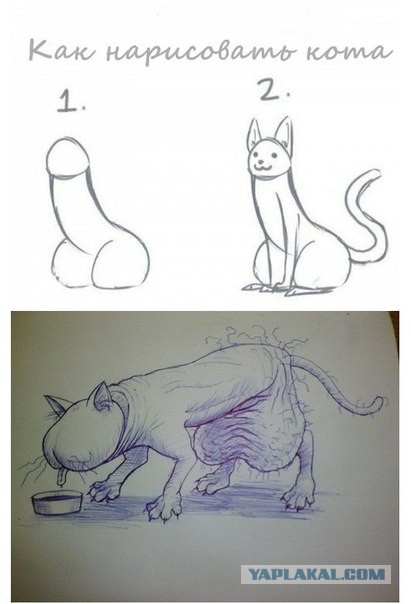 Как правильно рисовать кота
