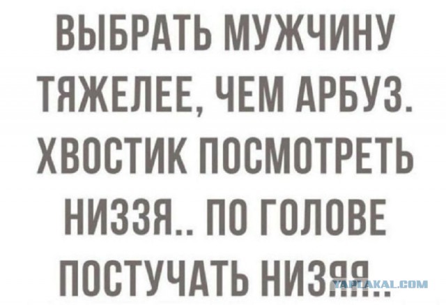 Так себе картинки 06.09.25