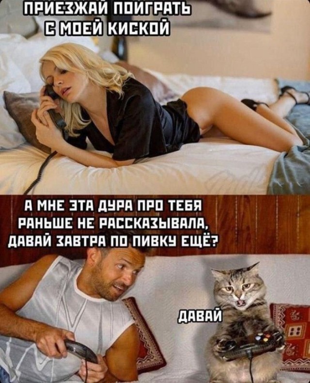 Когда киса любит одного